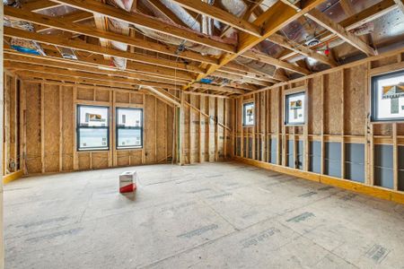 New construction Single-Family house 421 Calabrese Ct, Fairview, TX 75069 null- photo 18 18