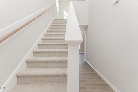 New construction Single-Family house 77 Littlefield Ln, La Grange, NC 28551 - image 17