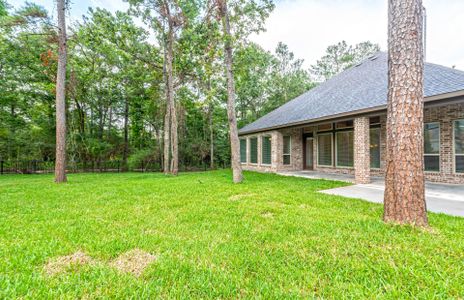 New construction Single-Family house 9749 Roaring River Falls Ln, Porter, TX 77365 plan Plan 3300 - image