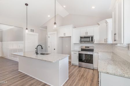 New construction Single-Family house 125 Tee Dr, Selma, NC 27576 - image 3