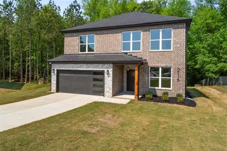 New construction Single-Family house 216 Galway Ln, Hampton, GA 30228 - image