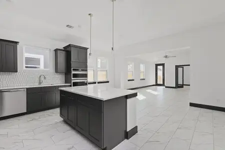 New construction Single-Family house 19116 Ariel Elena Wy, Pflugerville, TX 78660 plan Lexington - image 15