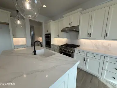 New construction Single-Family house 1081 E Peach Tree Dr, Chandler, AZ 85249 - image 7