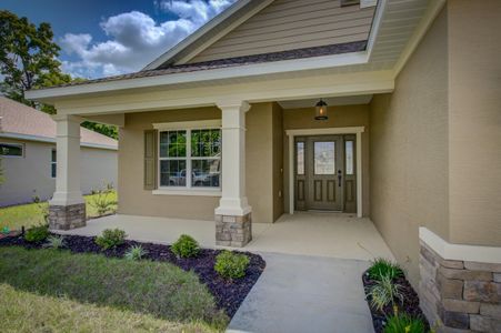 Diamond Ridge by Triple Crown Homes in Belleview - photo 11 11