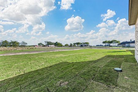 New construction Single-Family house 161 Frontera Drive, Decatur, TX 76234 - photo 31 31