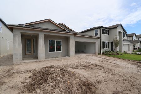 New construction Single-Family house 33227 Amling Pecan Br, Wesley Chapel, FL 33545 Newport II- photo 5 5