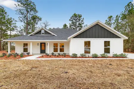 New construction Single-Family house 1511 County Rd 243A, Wildwood, FL 34785 - image