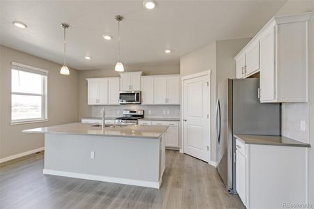 New construction Single-Family house 18319 Field Mint Pt, Parker, CO 80134 HOLCOMBE- photo 15 15