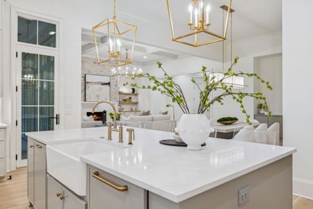 New construction Single-Family house 9314 Double Run Ct, College Grove, TN 37046 - image 14