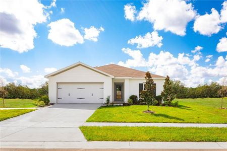 New construction Single-Family house 322 Biltmore Boulevard, Dundee, FL 33838 - photo 0