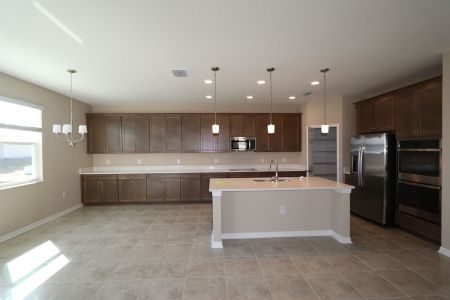 New construction Single-Family house 38326 Tobiano Loop, Dade City, FL 33525 Casanova- photo 126 126