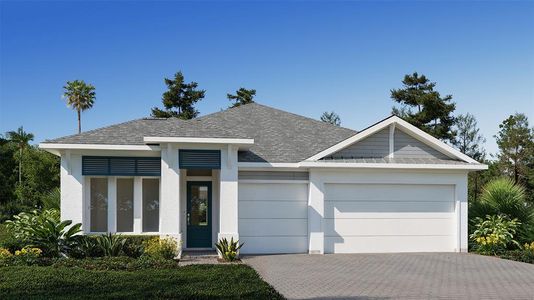 New construction Single-Family house 2749 Bon Air Wy, Parrish, FL 34219 - image