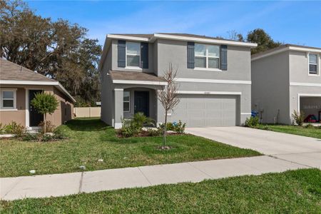 New construction Single-Family house 37357 Sharks Eye Ln, Zephyrhills, FL 33541 Darwin (G)- photo 4 4