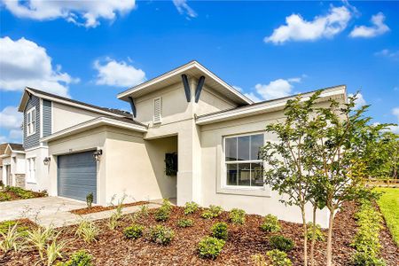 New construction Single-Family house 5793 Timber Meadow Wy, St. Cloud, FL 34771 - image