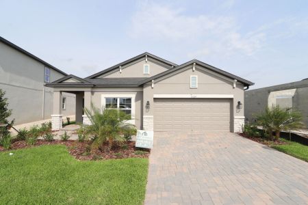 New construction Single-Family house 31229 Denham Ridge Ln, Wesley Chapel, FL 33545 Newport II- photo 181 181