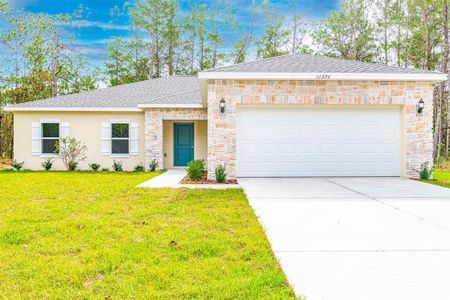 New construction Single-Family house 15244 Pomp Parkway, Weeki Wachee, FL 34614 - photo 0