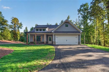 New construction Single-Family house 7824 Georgia Hwy 100, Buchanan, GA 30113 - image