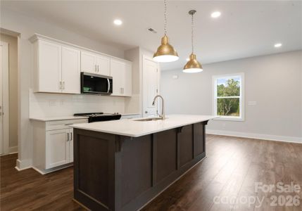 New construction Single-Family house 114 Chapel Crossing Ln, Unit 12, Weaverville, NC 28787 - image 13