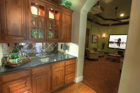New construction Single-Family house 122 Crosswater Ln, Dripping Springs, TX 78620 plan Julian - image 11