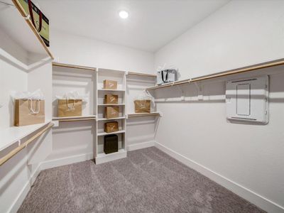New construction Single-Family house 2313 Peters Colony Dr, Little Elm, TX 75036 plan The Elizabeth - image 9