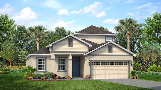 New construction Single-Family house 205 Manns Harbor Dr, Apollo Beach, FL 33572 null- photo 0