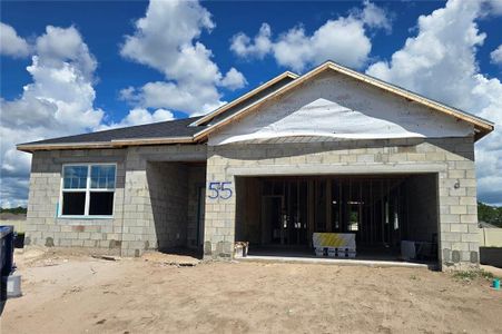 New construction Single-Family house 6885 Yellow Warbler Bnd, St. Cloud, FL 34773 plan Piedmont - image