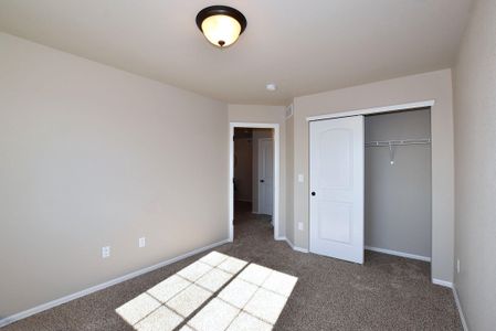 New construction Single-Family house 437 Vivid Ln , Evans, CO 80634 - photo 6 6