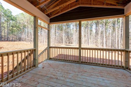 New construction Single-Family house 80 Purslane Dr, Franklinton, NC 27525 - photo 9 9