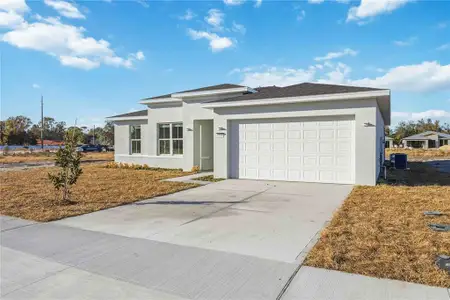 New construction Single-Family house 2145 River Hawk Lp, Winter Haven, FL 33880 - image