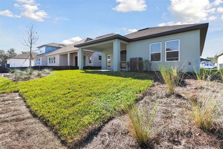 New construction Single-Family house 6075 Sacred Oak Ave, Mount Dora, FL 32757 null- photo 27 27