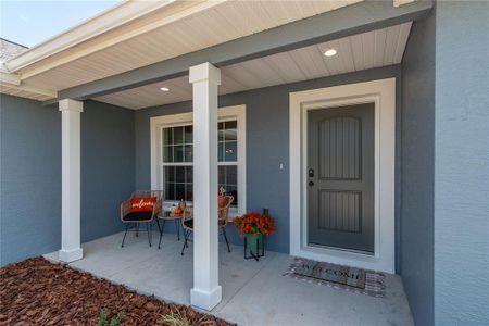 New construction Single-Family house 13346 Sw 107Th St, Dunnellon, FL 34432 - image