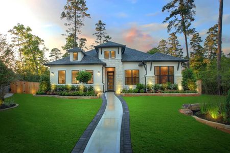 New construction Single-Family house 355 Silver Sage St, Conroe, TX 77304 plan Brynlee II - image