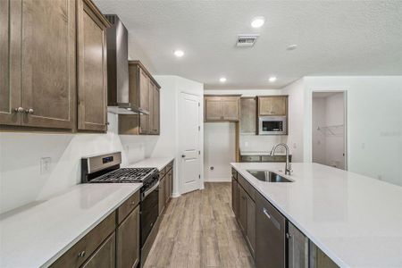 New construction Single-Family house 19679 Fort King Run, Brooksville, FL 34601 - image 14