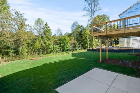 New construction Single-Family house 80 Linden Ct, Braselton, GA 30517 Wyatt- photo 37 37