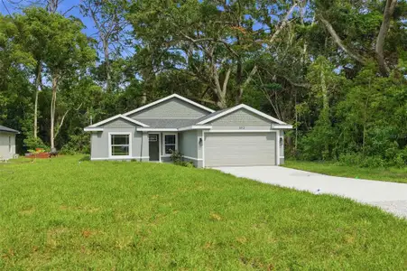 New construction Single-Family house 352 Garfield, Masaryktown, FL 34604 - image