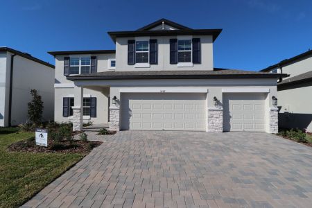 New construction Single-Family house 9489 Seagrass Port Pass, Wesley Chapel, FL 33545 Alenza- photo 61 61