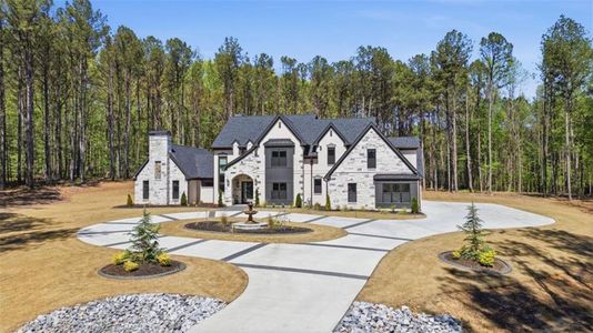 New construction Single-Family house 1315 Sandy Creek Rd, Tyrone, GA 30290 - image