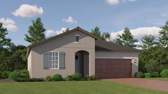 New construction Single-Family house 9946 Minnow Ray Dr, Land O' Lakes, FL 34638 plan Dawning II - image