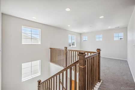 New construction Single-Family house 855 Goodrich Peak St, Erie, CO 80516 Moonstone- photo 13 13