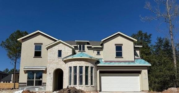 New construction Single-Family house 41754 Wendele Wy, Montgomery, TX 77316 plan Kamay - image
