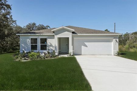 New construction Single-Family house 437 Baltic Ct, Poinciana, FL 34759 plan Brandywine - image