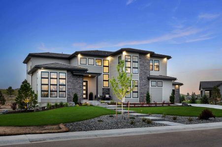 Pradera by Celebrity Custom Homes in Parker - photo 4 4