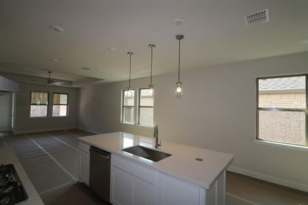 New construction Single-Family house 451 Cherry Laurel Dr, Oak Point, TX 75068 Alto- photo 2 2