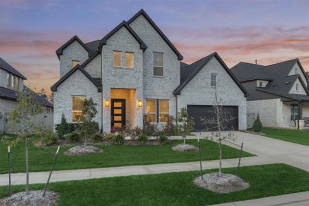 New construction Single-Family house 15230 Tree Swallow Ct, Magnolia, TX 77354 plan Plan 3799AU - image