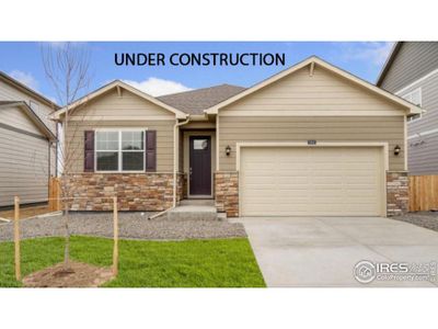 New construction Single-Family house 5949 Holstein Dr, Windsor, CO 80528 CHATHAM- photo 0