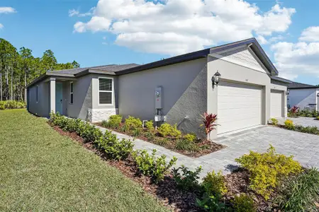 New construction Single-Family house 165 Parkhaven Dr, Ormond Beach, FL 32174 plan Everett - image