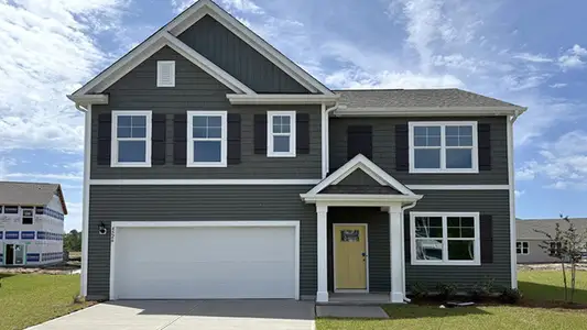 New construction Single-Family house 1014 Pampas Grass Dr, Castle Hayne, NC 28429 plan Hayden - image