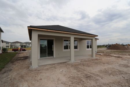 New construction Single-Family house 5691 Maydale Ave, Wesley Chapel, FL 33545 Santa Monica- photo 76 76