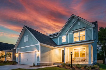 New construction Single-Family house 514 Eagle View Drive, Moncks Corner, SC 29461 - photo 0