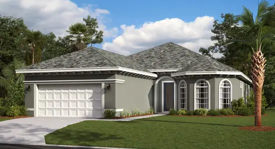 Tidelands by SeaGate Homes in Palm Coast - photo 4 4